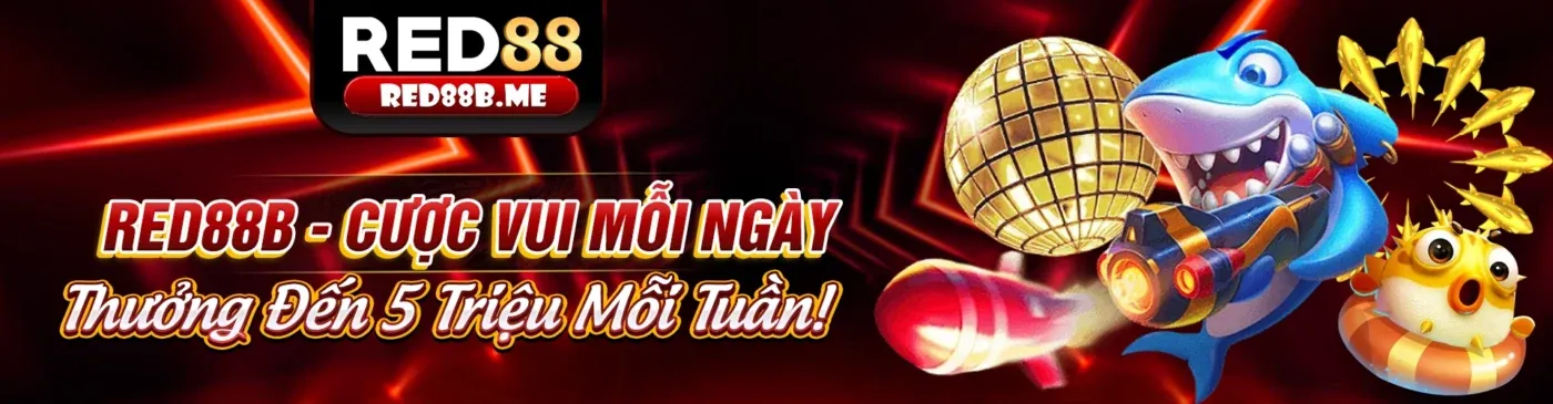 Trang Liên Hệ Viva8 Code